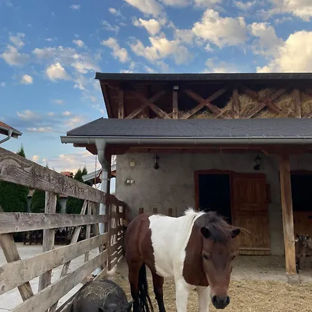 Ikonija * Pecenjevce