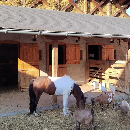 Ikonija * Pecenjevce