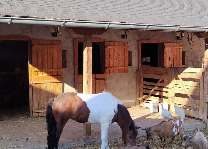 Ikonija * Pecenjevce